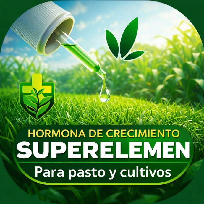 superelemen